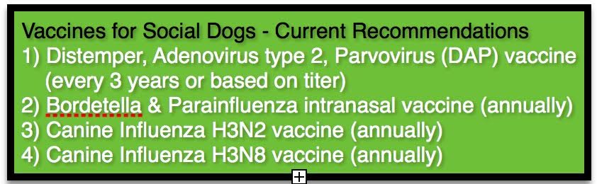 Canine Influenza Vaccine Information - Loyal-Companions.com