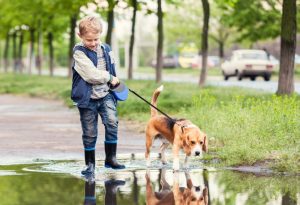 Boy with dog walks through the puddle