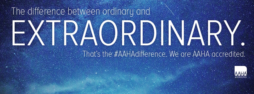 aaha accreditation