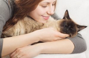 Smiling woman lying on the bed and cuddling her soft beautiful cat