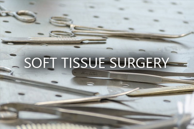 soft tissue surgery