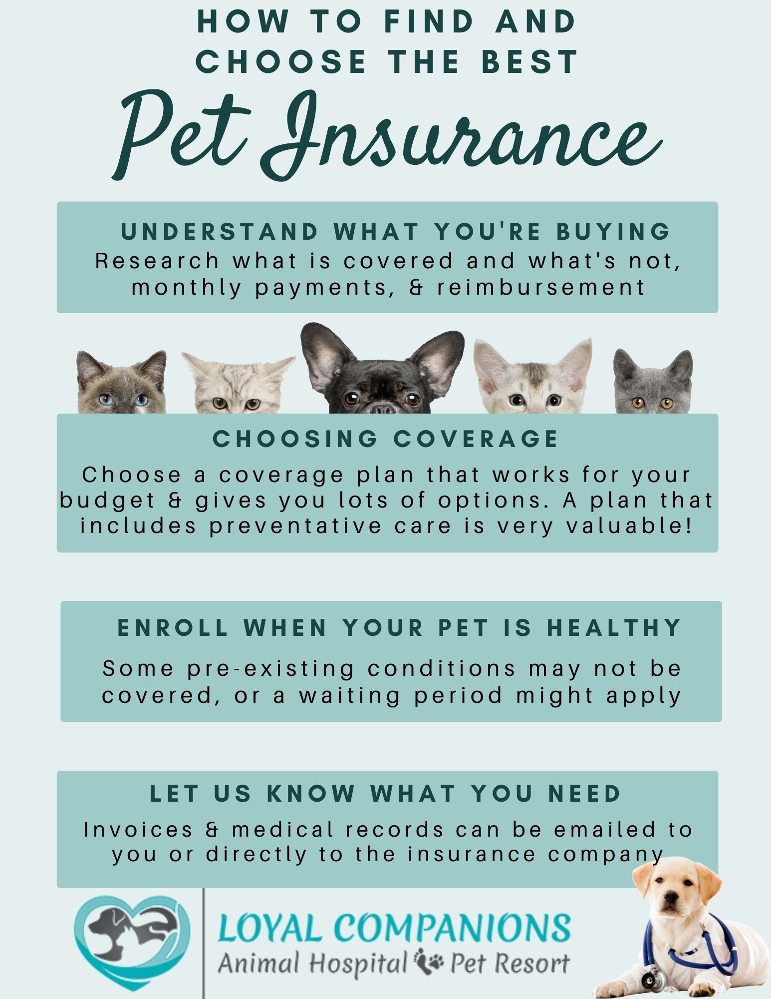 https://loyal-companions.com/wp-content/uploads/2023/05/Pet-insurance.jpg