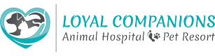 Loyal Companions Animal Hospital Pet Resort