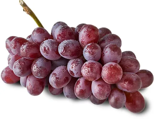 Grape,Raisin, and Currant Toxicity in Dogs